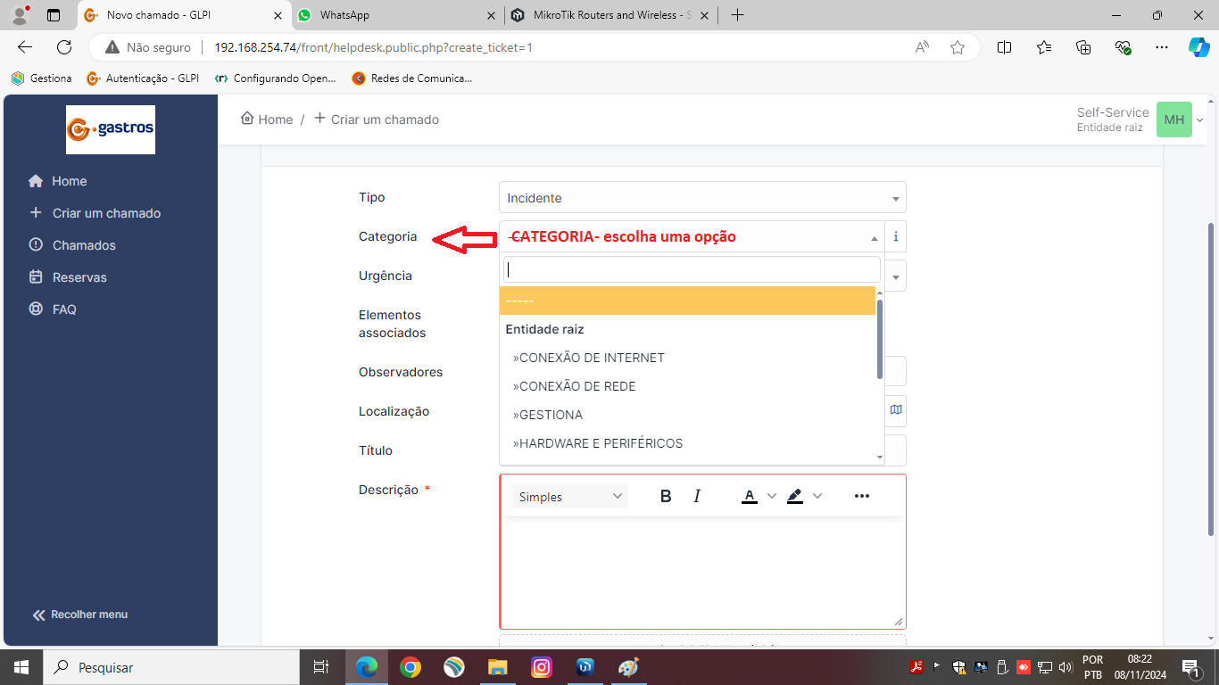 Campo Categoria com lista de opções